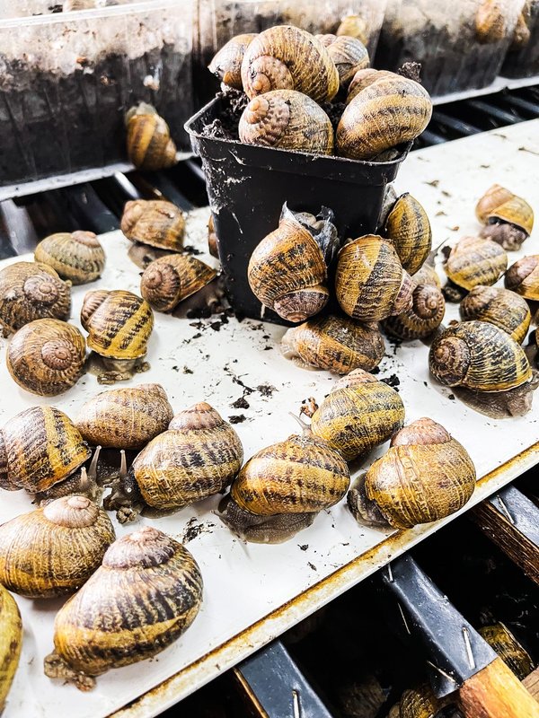 Est-ce que notre habitat est le reflet de Nous-même ?